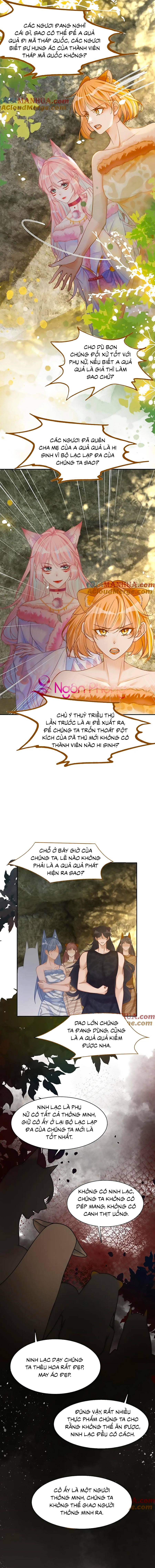 xuyên nhanh nữ phụ bình tĩnh chút chapter 167 8