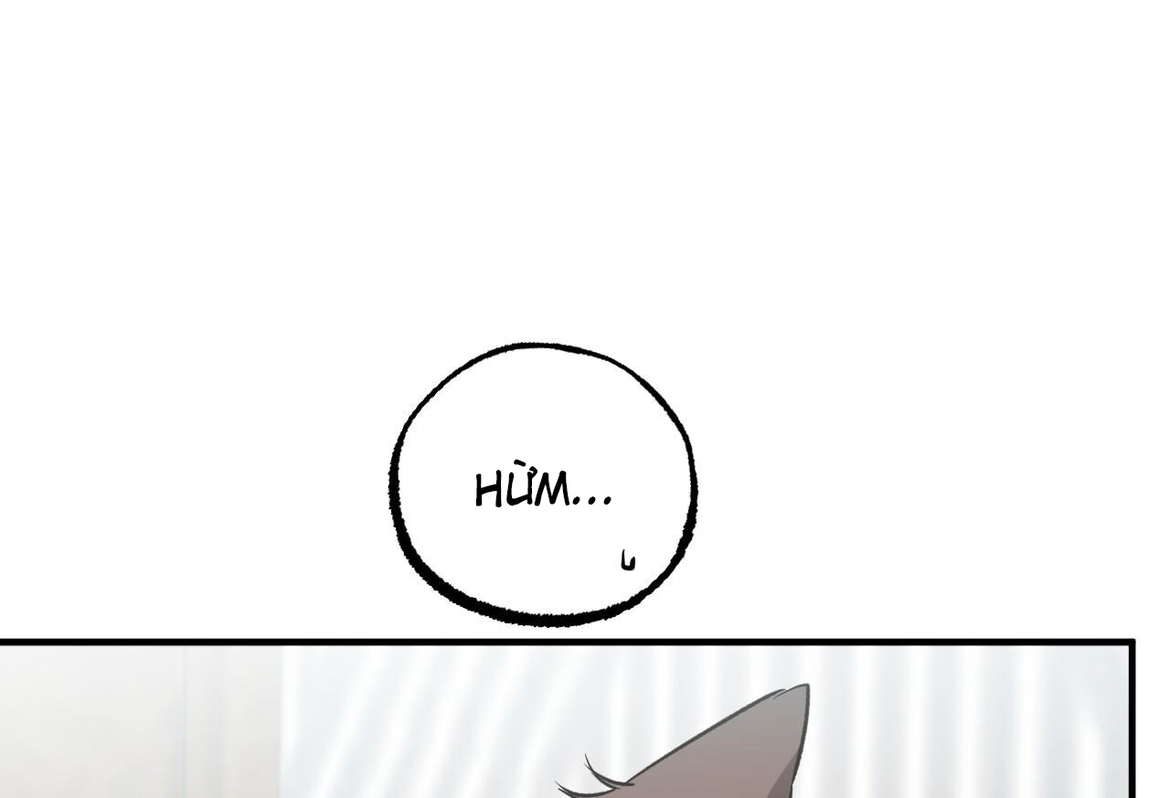 đàn thỏ của habibi chapter 65 233