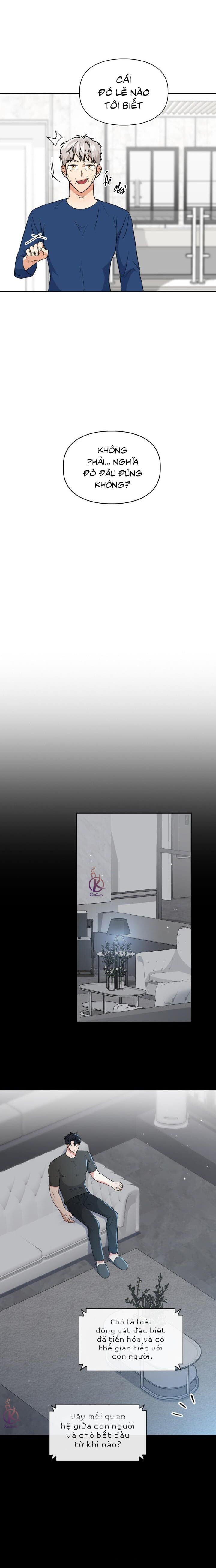 mồi nhử chapter 60 11