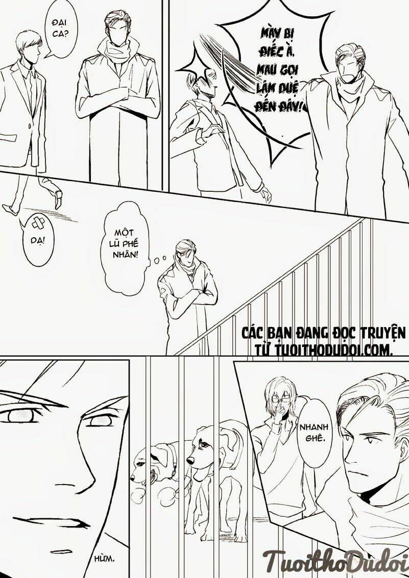 sự mê hoặc của sói chapter 15 2