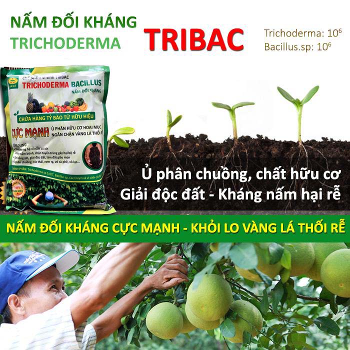 Combo 2 gói Chế phẩm vi sinh Trichoderma TRIBAC 1kg. Ủ phân rác bã hữu cơ hoai mục không mùi hôi. Đối kháng nấm hại, khống chế thối rễ. HSD: 2 năm