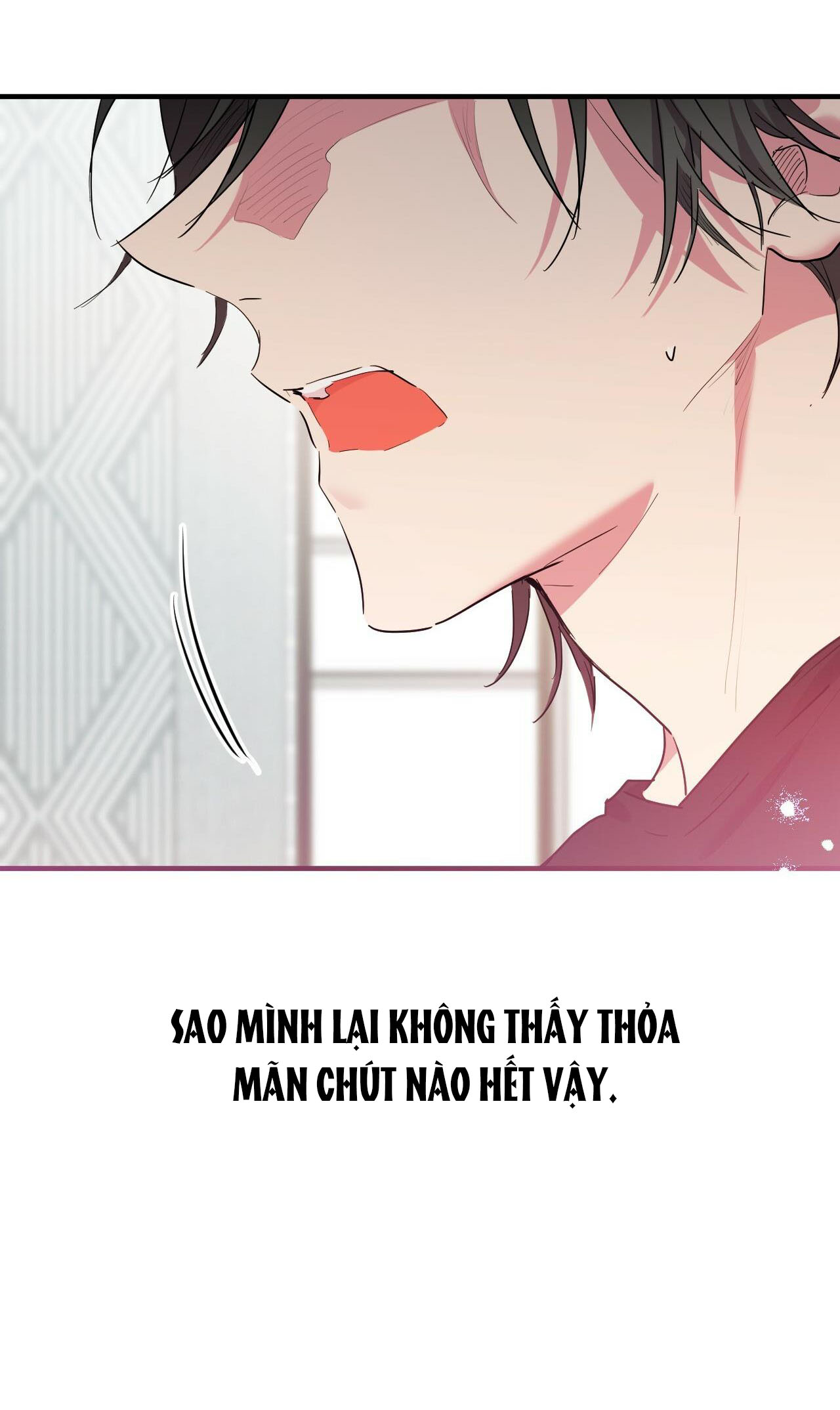 NHỮNG CHÚ THỎ CỦA HAPYPY chapter 13