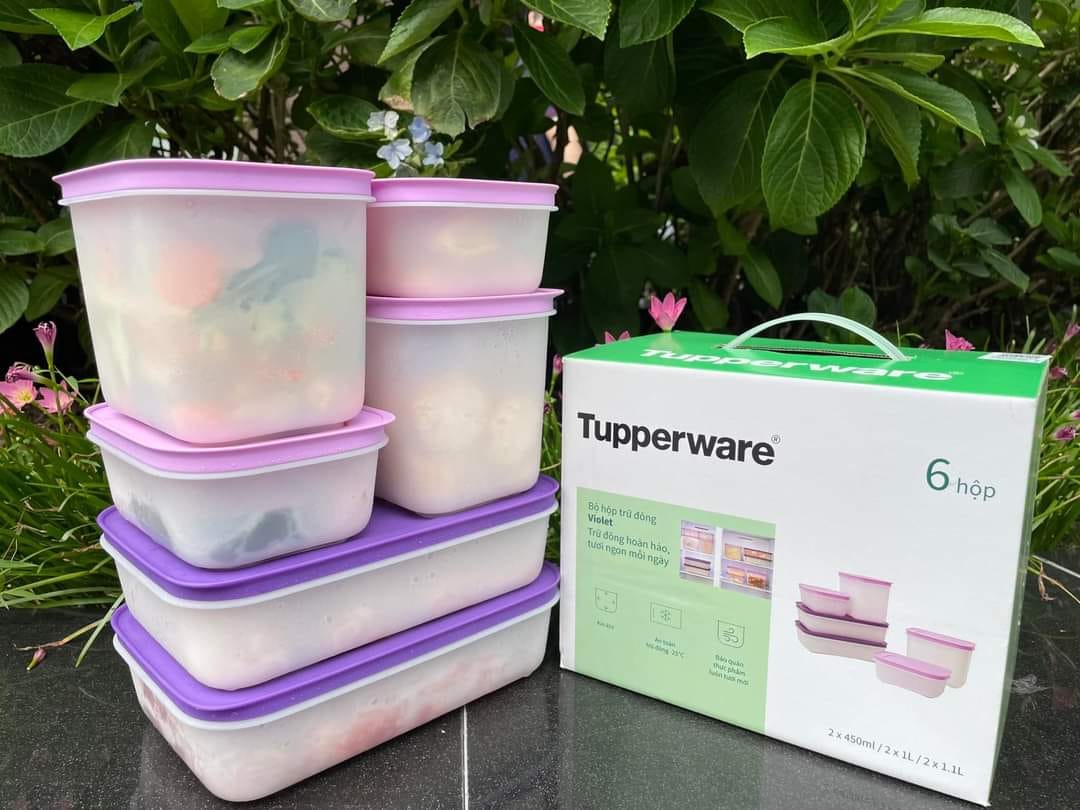 Bộ Hộp Trữ Đông thế hệ II Violet  (set 6 hộp) mẫu mới nhất của Tupperware, nhựa dẻo, dày, kích thước đa dạng