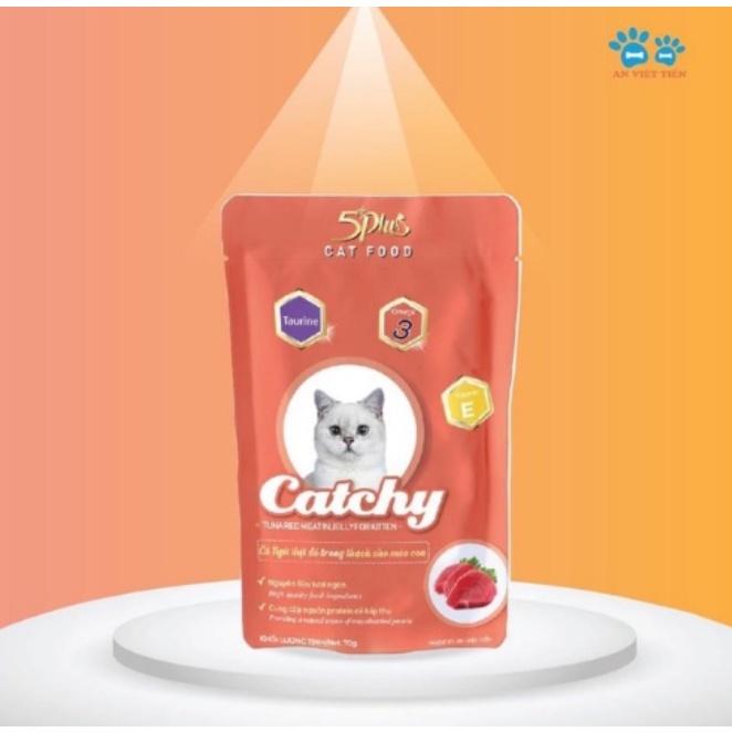 Combo 10 và 20 gói Pate Catchy 5plus dành cho mèo cưng dạng gói 70g nhiều vị hàng việt nam chất lượng cao