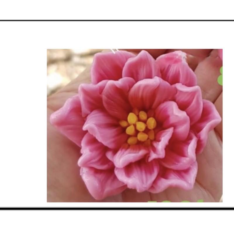 Hoa thái B39 to kích thước 7.2*7.2*3.5 , B39 nhỏ :6*6*2.8