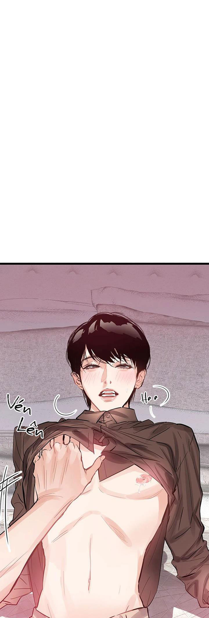 only one chapter 7 4