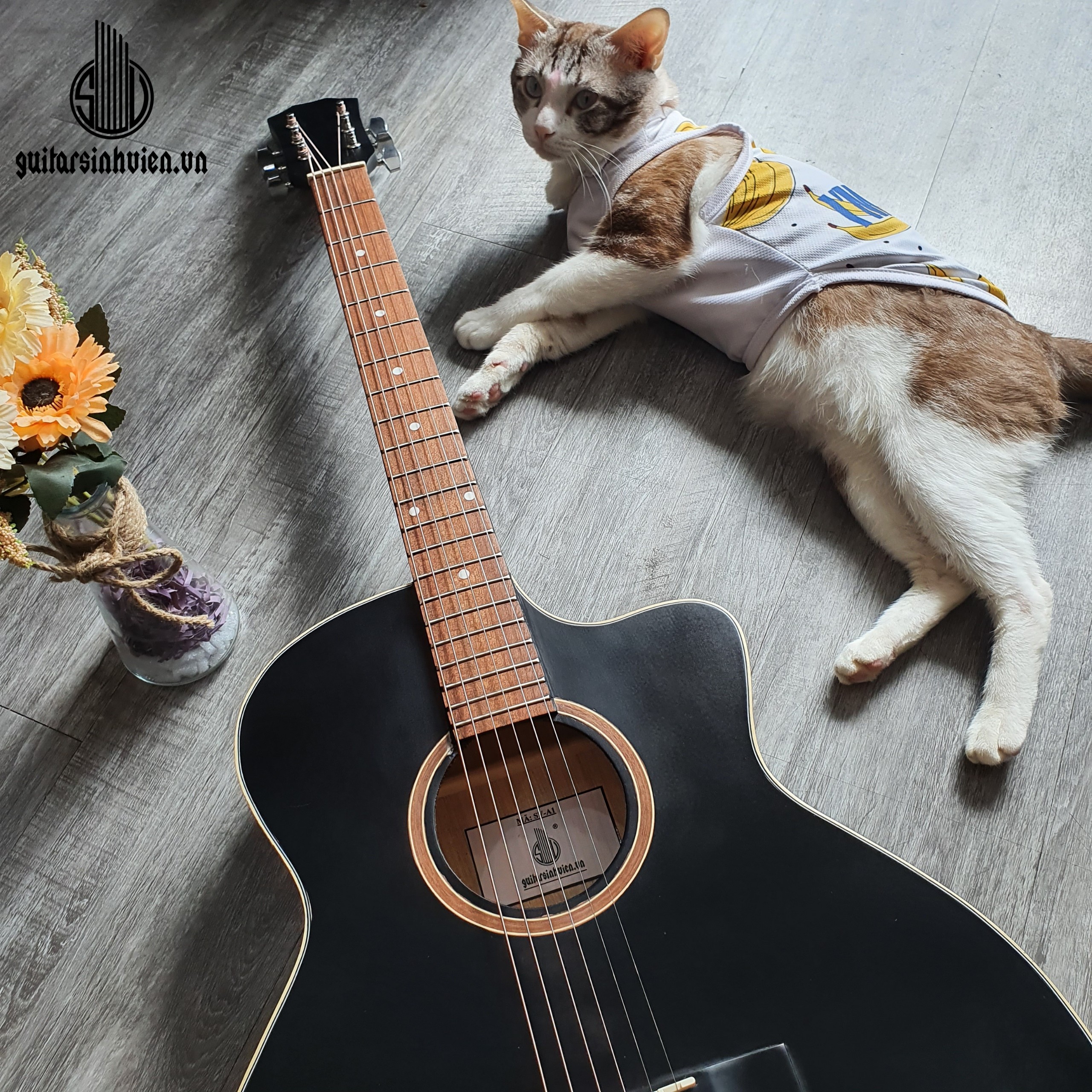 Đàn guitar acoustic có ty màu đen - Mặt gỗ thông nguyên tấm guitar SVA1