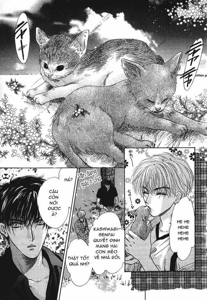 komatta toki ni wa hoshi ni kike! chapter 18 15