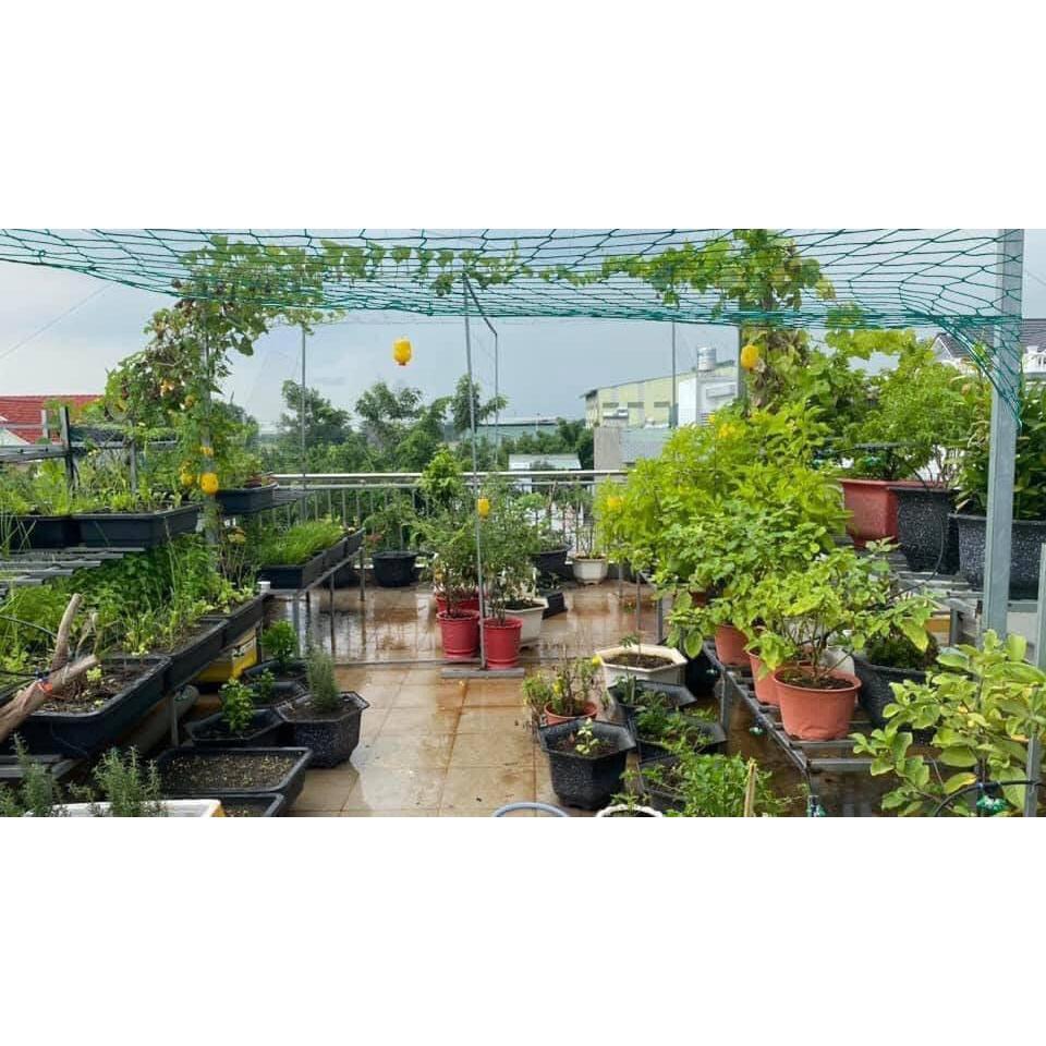 Lưới làm giàn leo, lưới trồng cây leo chất liệu HDPE bảo hành 3 năm cam kết hàng đẹp