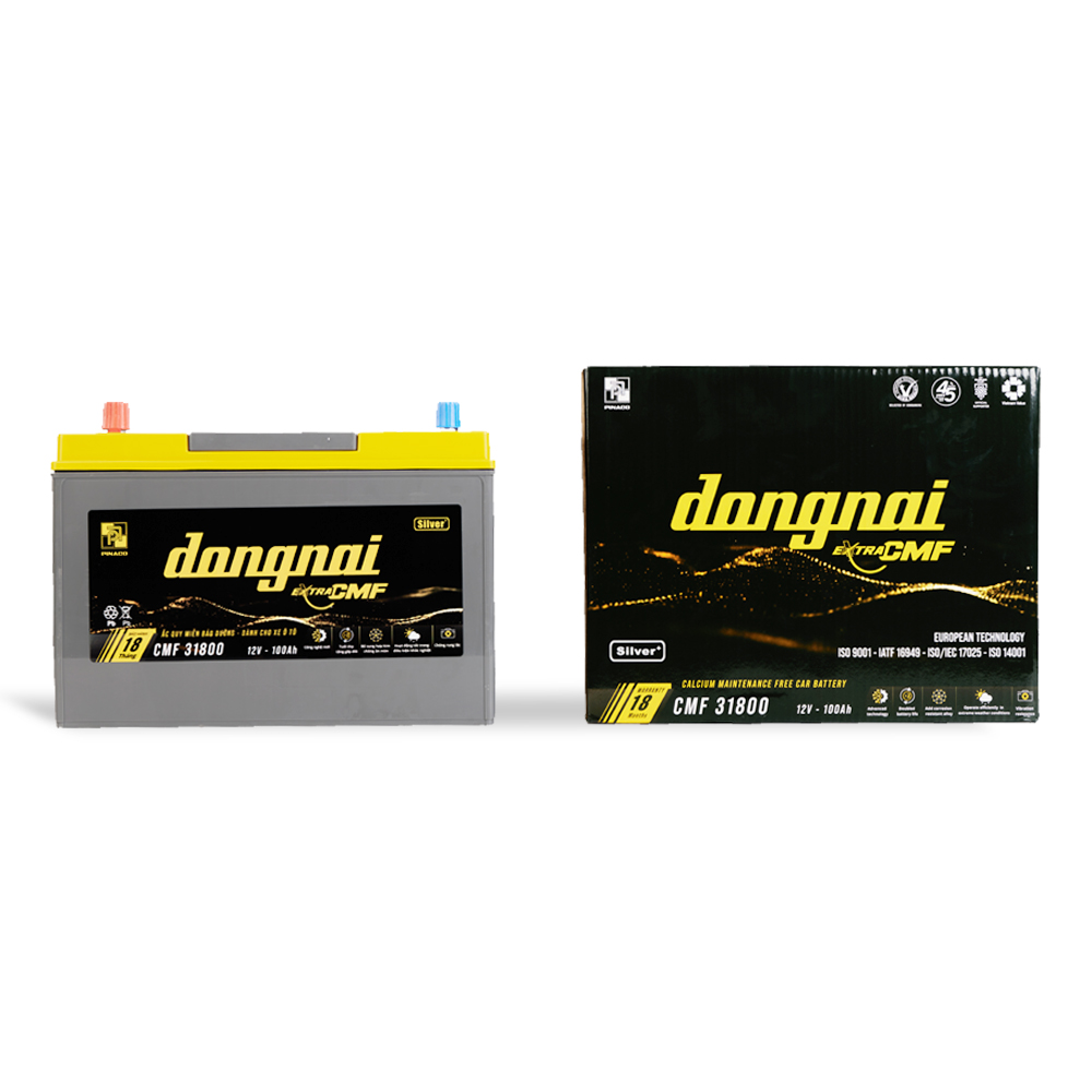 Ắc quy khô miễn bảo dưỡng Đồng Nai EXTRA CMF 31800 | 12V - 100Ah