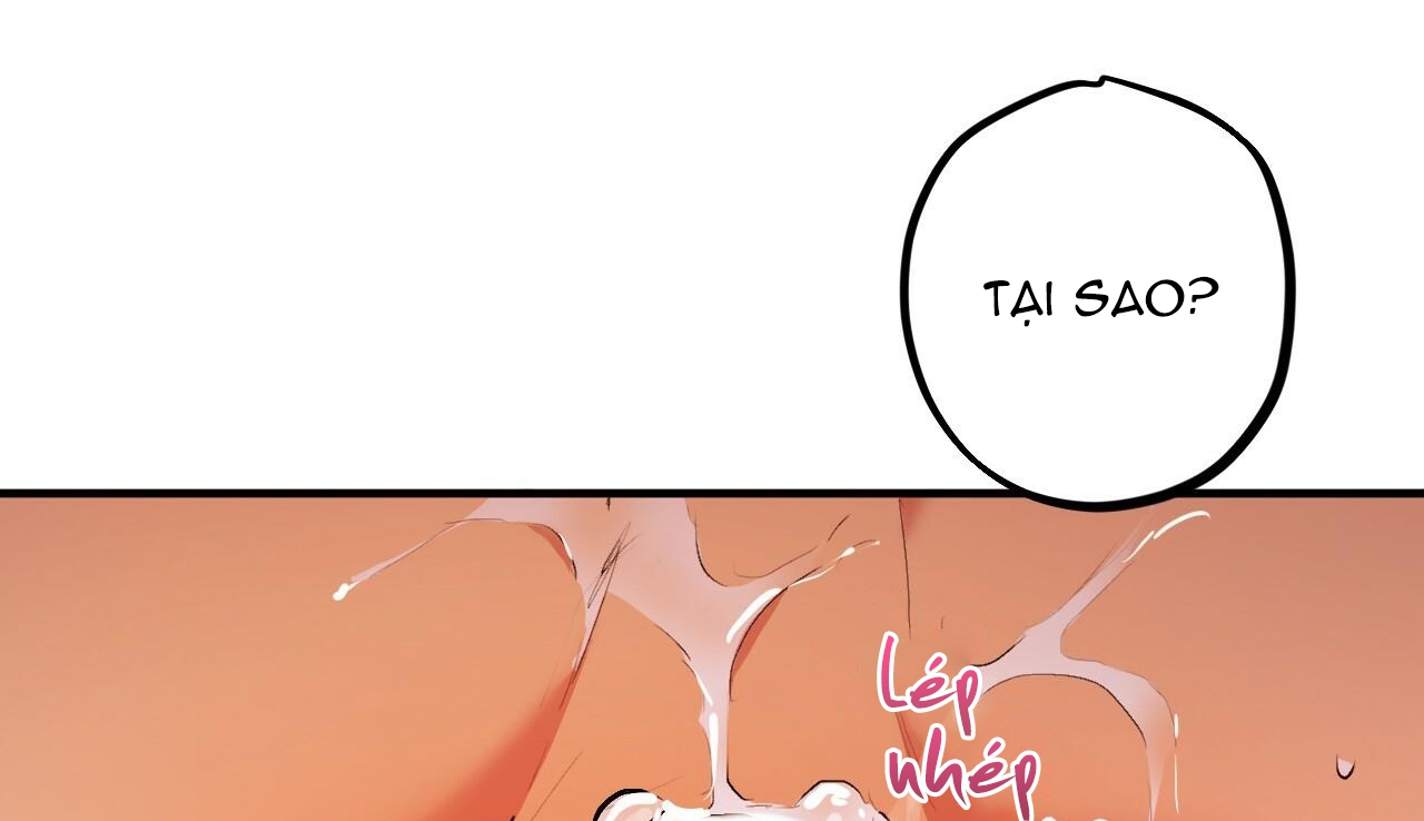 đàn thỏ của habibi chapter 33 128