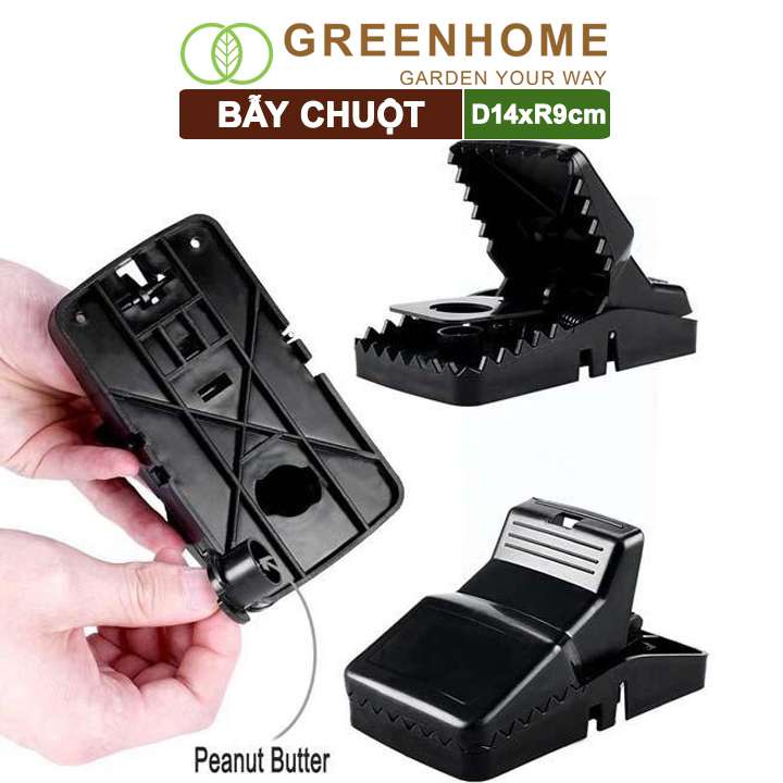 Bẫy Chuột Thông Minh Greenhome, D14xr9cm, Lò Xo Độ Nhạy Cao, Lực Gấp Mạnh, Dễ Dùng, Hiệu Quả Cao, Tái Sử Dụng Nhiều Lần