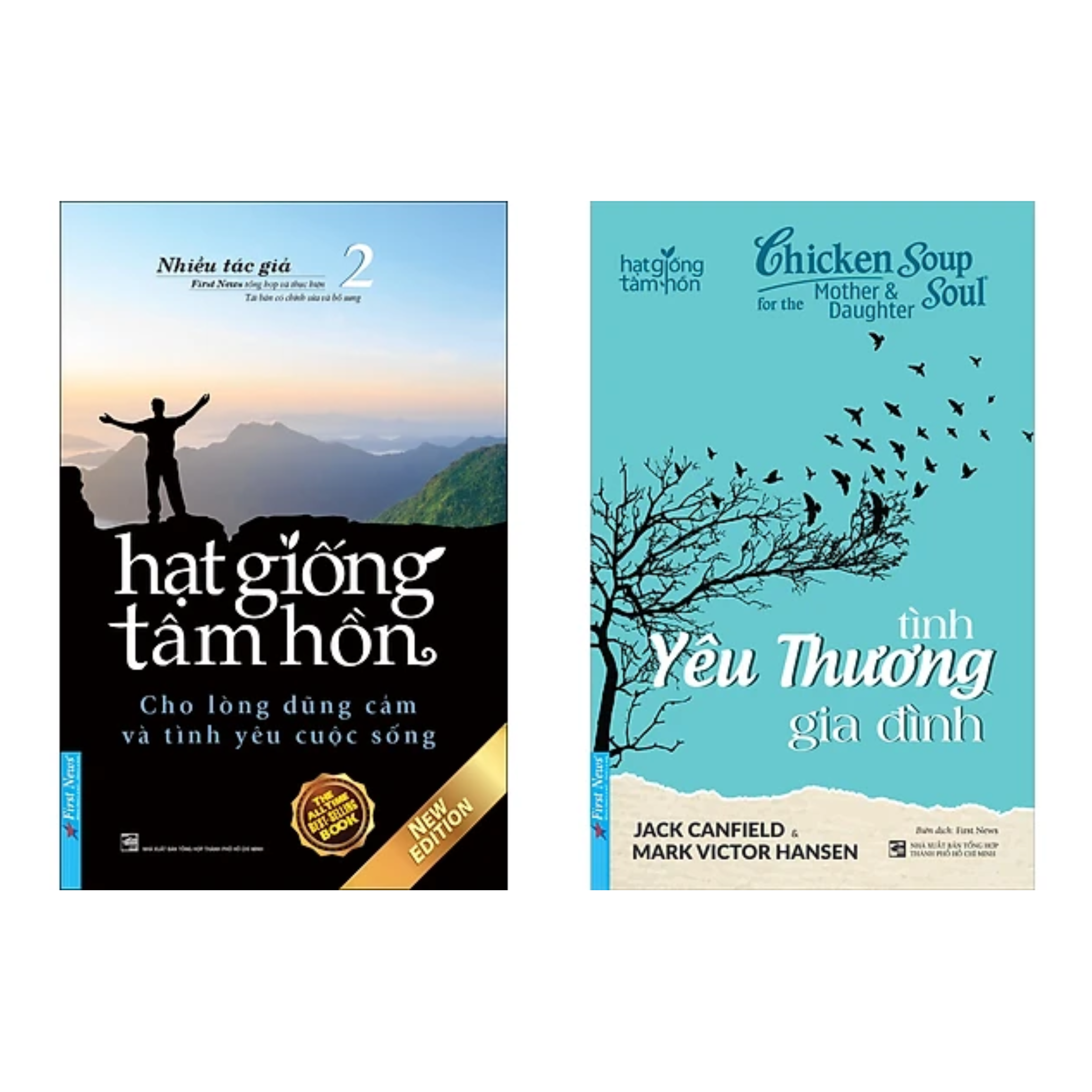 Combo 2 Cuốn Sách Nghệ Thuật Sống Đẹp: Hạt Giống Tâm Hồn 2 + Chicken Soup For The Soul - Tình Yêu Thương Gia Đình