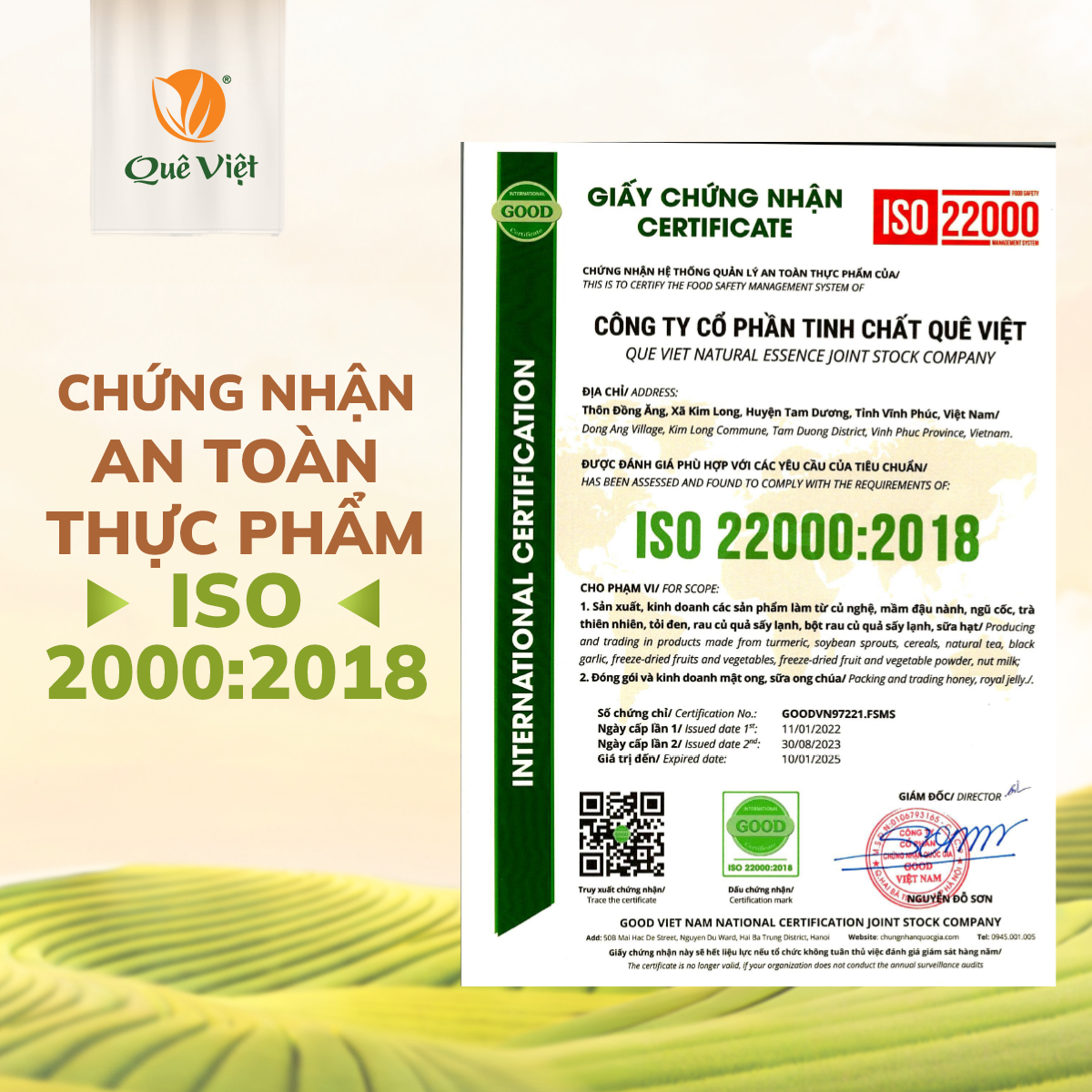 Trà gạo lứt Plus Quê Việt - ĐÔNG TRÙNG HẠ THẢO - Hộp 600g, 20 túi lọc x 30g, Tea Chè