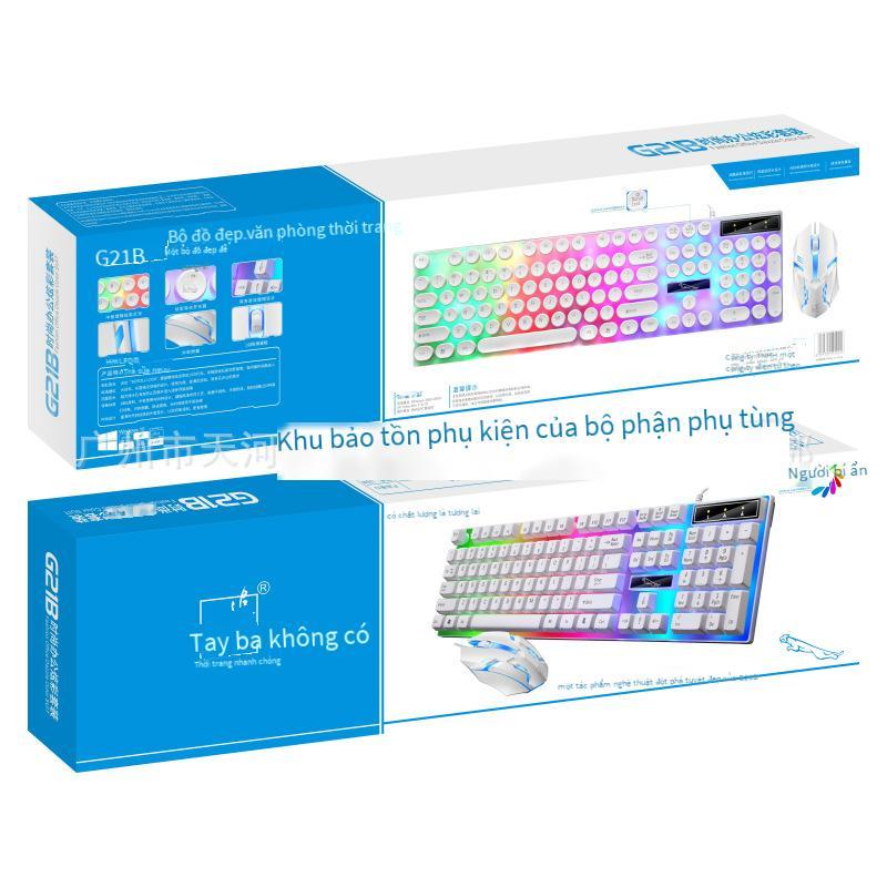 Phong Cách Mới Nhất Đuổi Theo Ánh Sáng Da Báo G21B Nhiều Màu Sắc Dạ Quang USB Có Dây Bộ Bàn Phím Và Chuột Văn Phòng Kinh Doanh Trò Chơi Tự Làm Giao Hàng