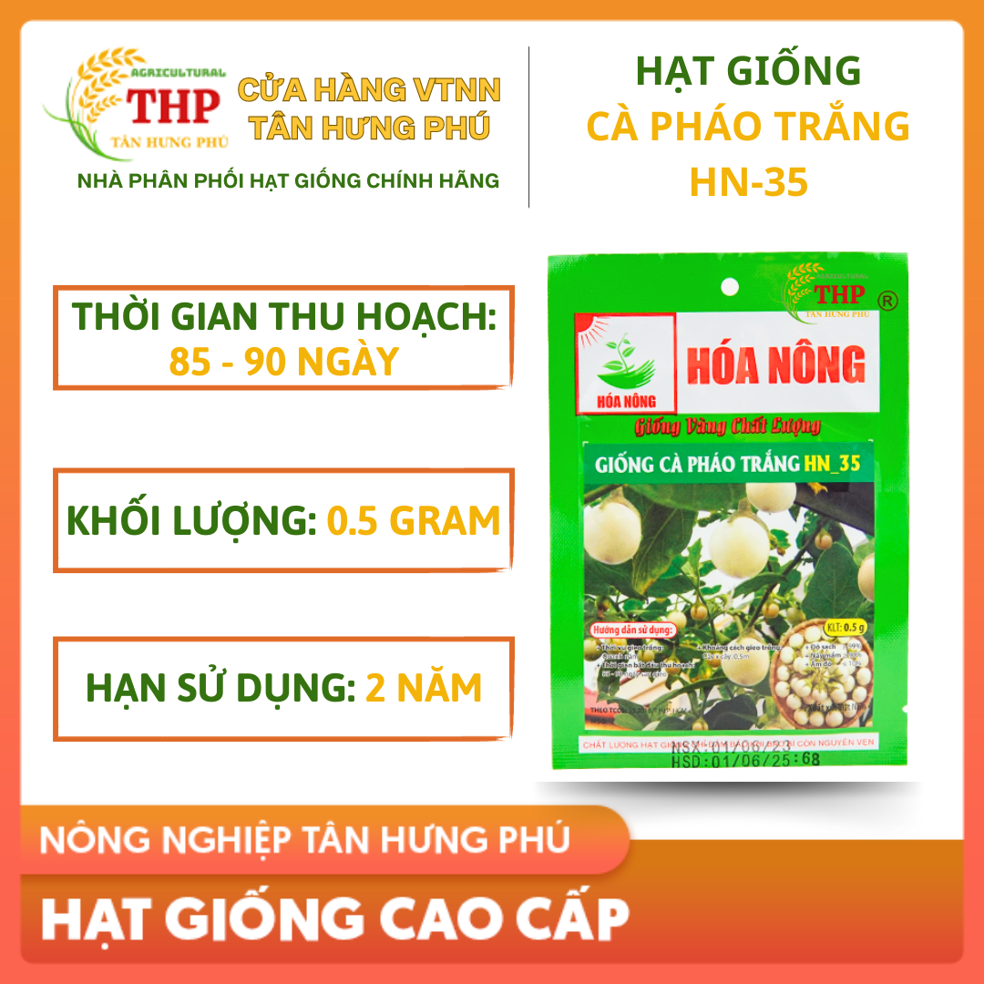 Hạt giống Cà Pháo Trắng HN-35 | Hạt Giông | gói 0.5gr