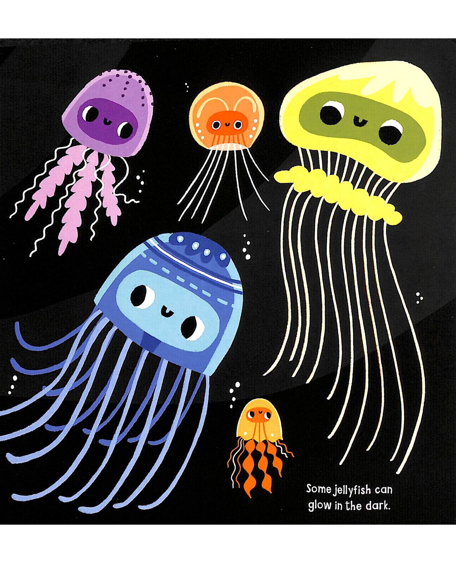 My Little Ocean Explorer: Mirror Book