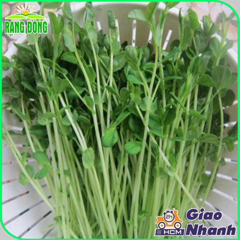 Hạt giống Rau Mầm Đậu Hà Lan Dễ Trồng, Thơm, Ngọt (gói 50 gram) - Hạt Giống Rạng Đông