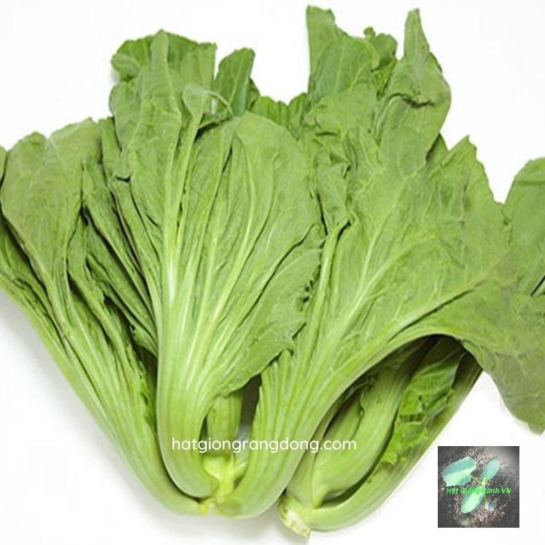 Hạt giống cải bẹ dưa, đóng gói 10gr