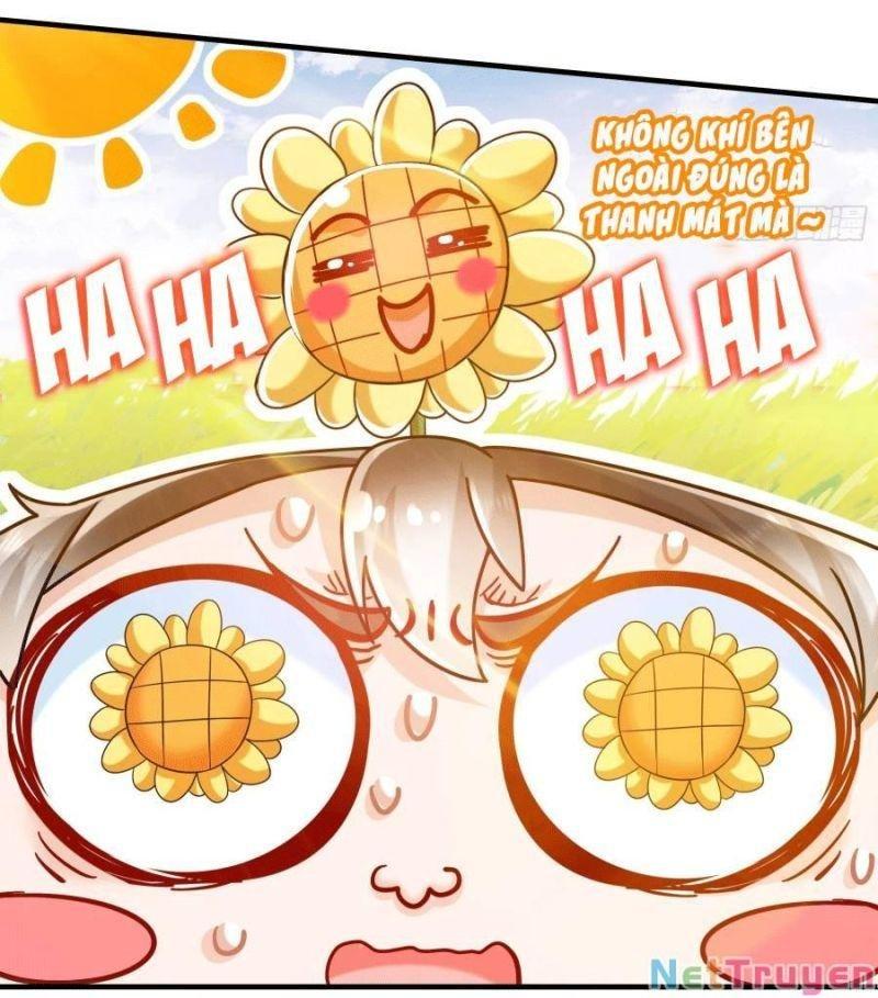 tuyệt sắc đạo lữ đều nói ngô hoàng có thể chất vô địch chapter 6 16