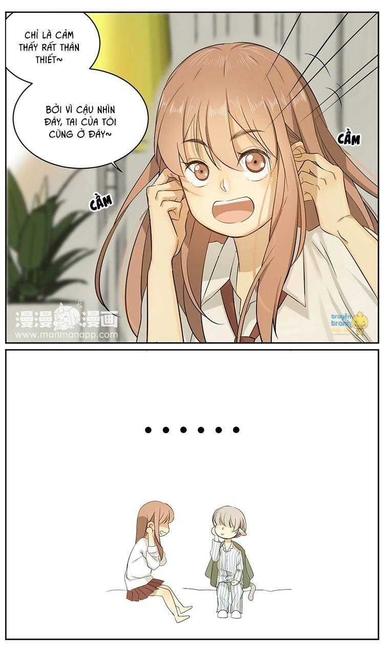 cứu mạng ! loài mèo thống trị thế giới rồi ! chapter 8 12