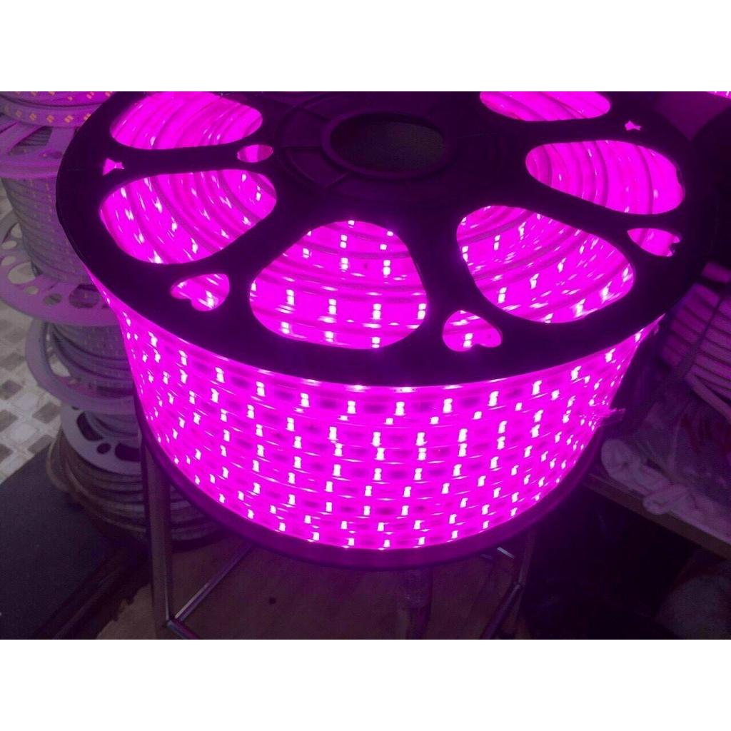 Combo 10m đèn led dây 2835 2 hàng bóng điện 220V sử dụng ngoài trời, trang trí quán cà phê