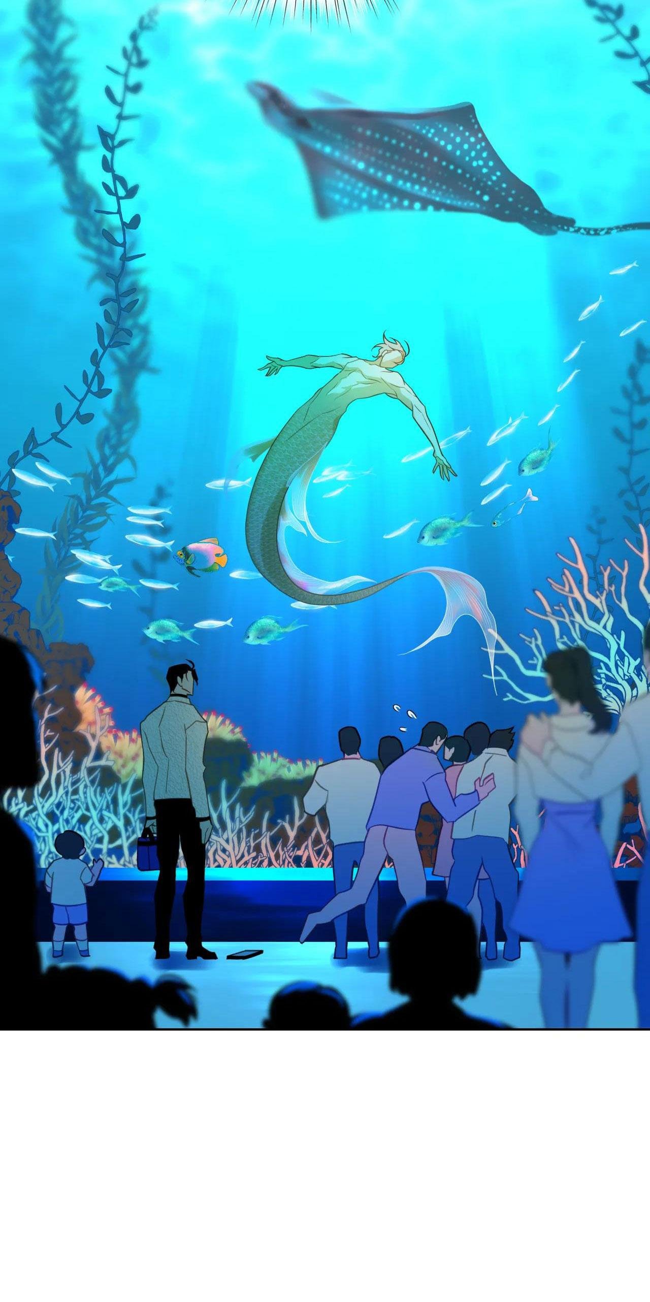 mỹ nhân ngư chapter 2 11