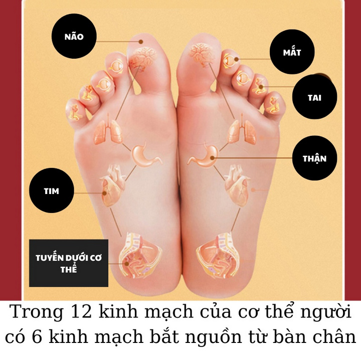 Bồn massage chân gấp gọn FAISQI tự động sưởi ấm - Home and Garden