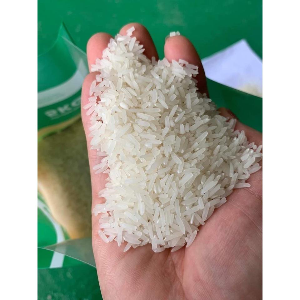 Gạo VIETGAP SEPON - Giống ST25- Gạo ngon nhất thế giới . 5kg