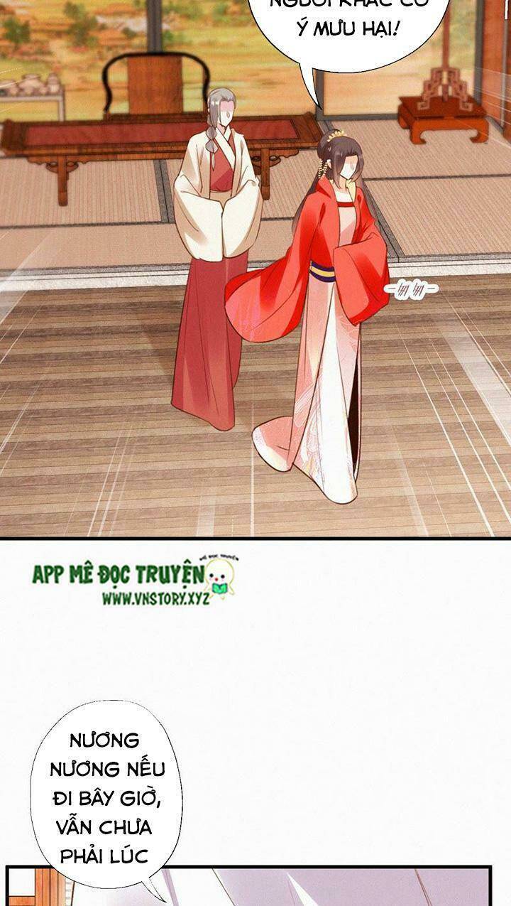 thiên hương mỹ nhân chapter 116 10