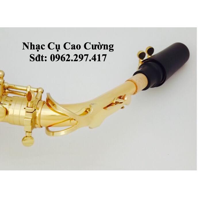 Kèn Saxophone Alto Mới, Tặng Đầy Đủ Phụ Kiện