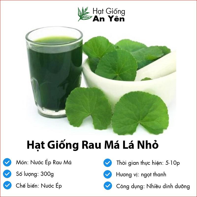 Hạt giống Rau Má Nhỏ thu hoạch sớm, dễ trồng, nảy mầm cao, sinh trưởng khoẻ