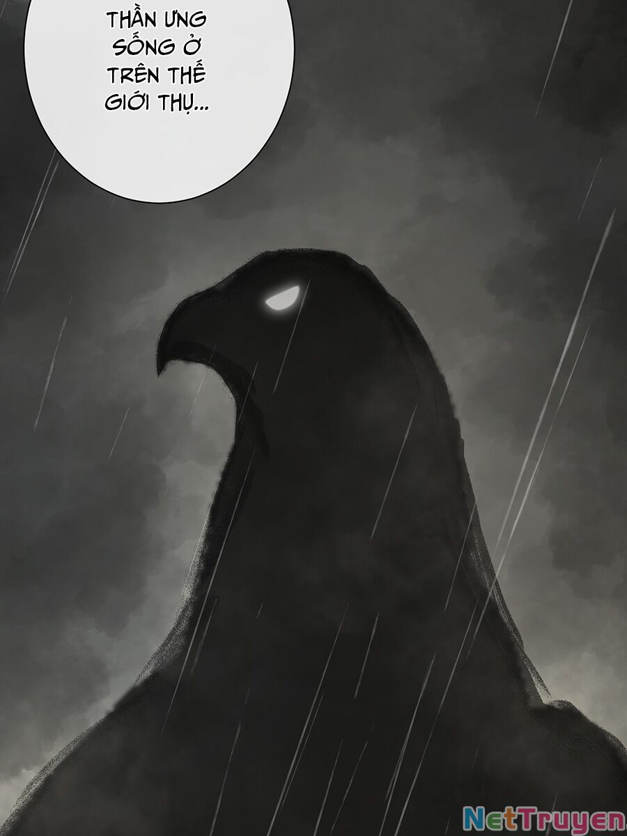 bản giáo chủ thân bất do kỷ chapter 11 46