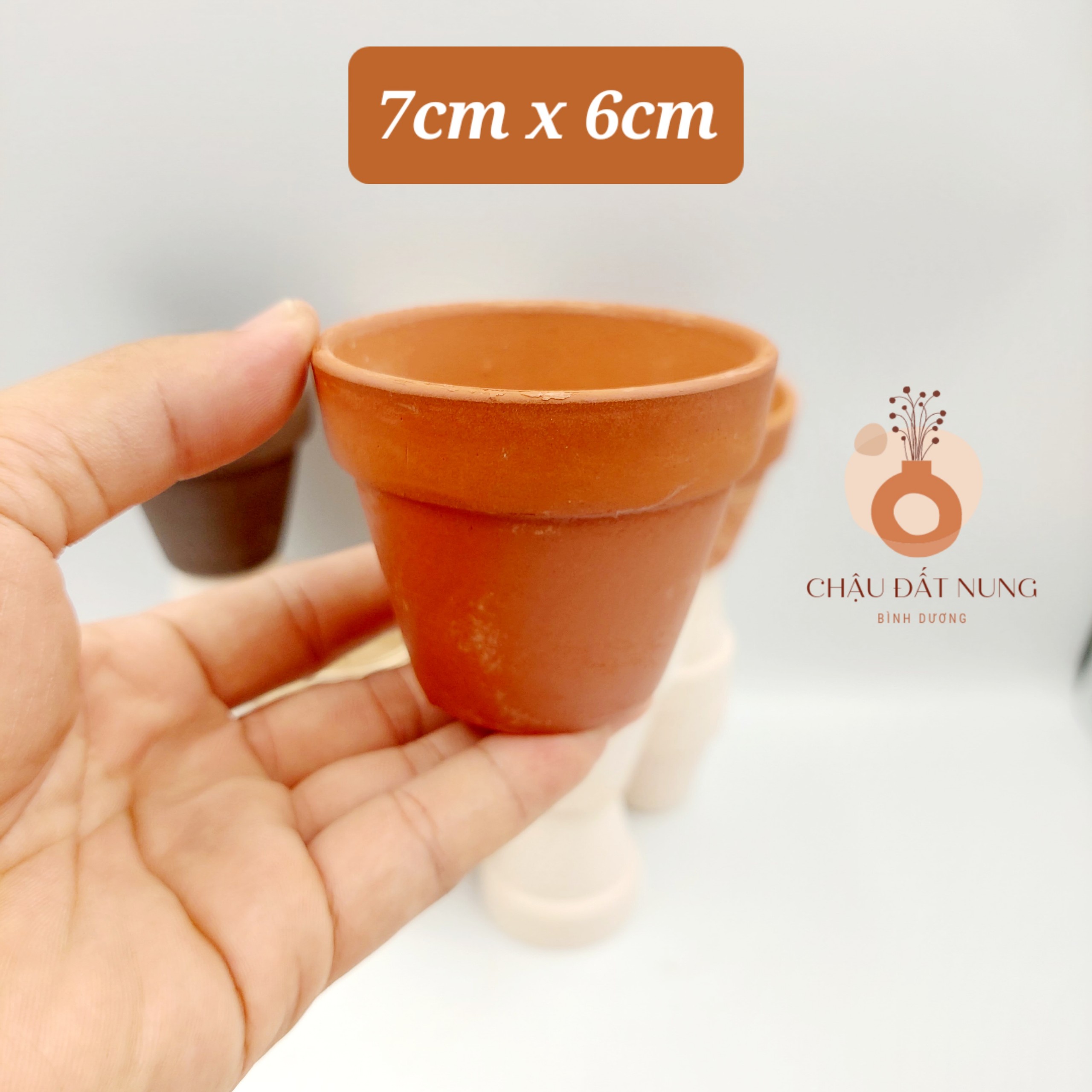 Chậu đất nung, chậu sen đá, xương rồng - Ly gờ 76, miệng chậu 7cm, chiều cao 6cm