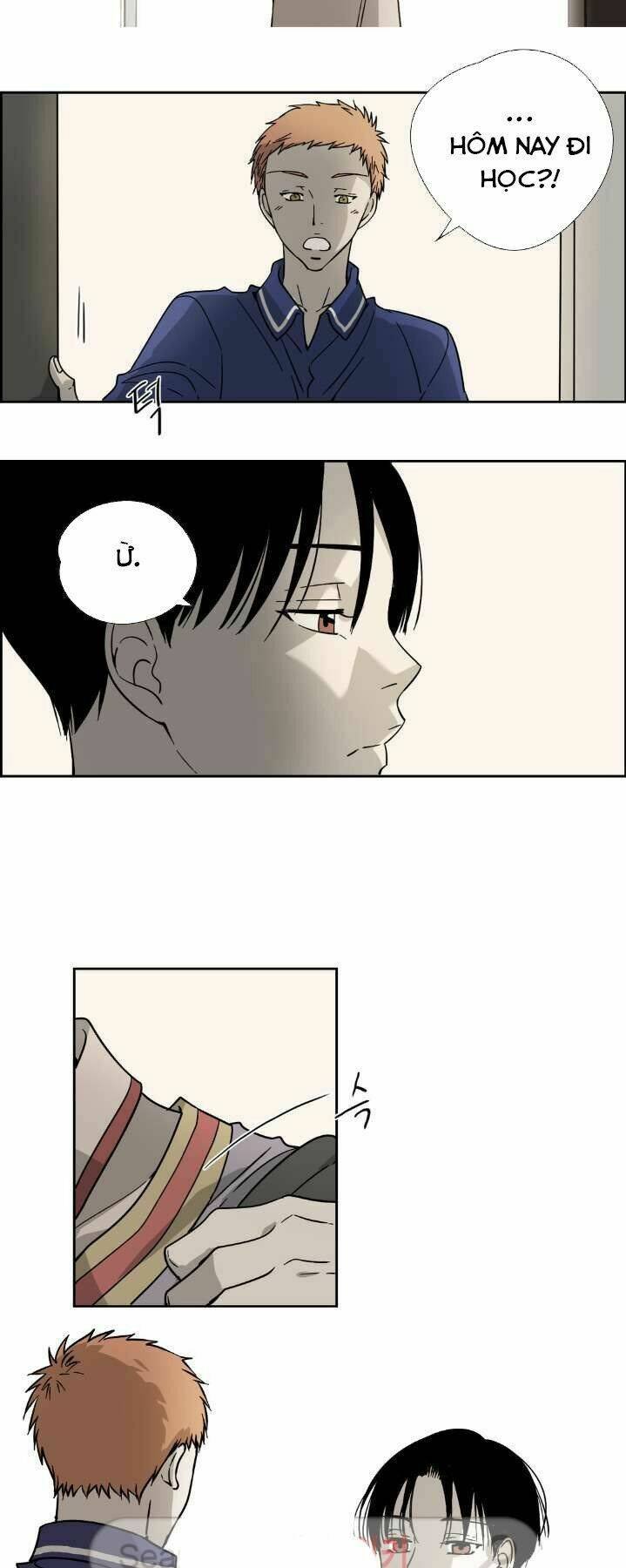 anh tôi, thầy cậu chapter 6 16