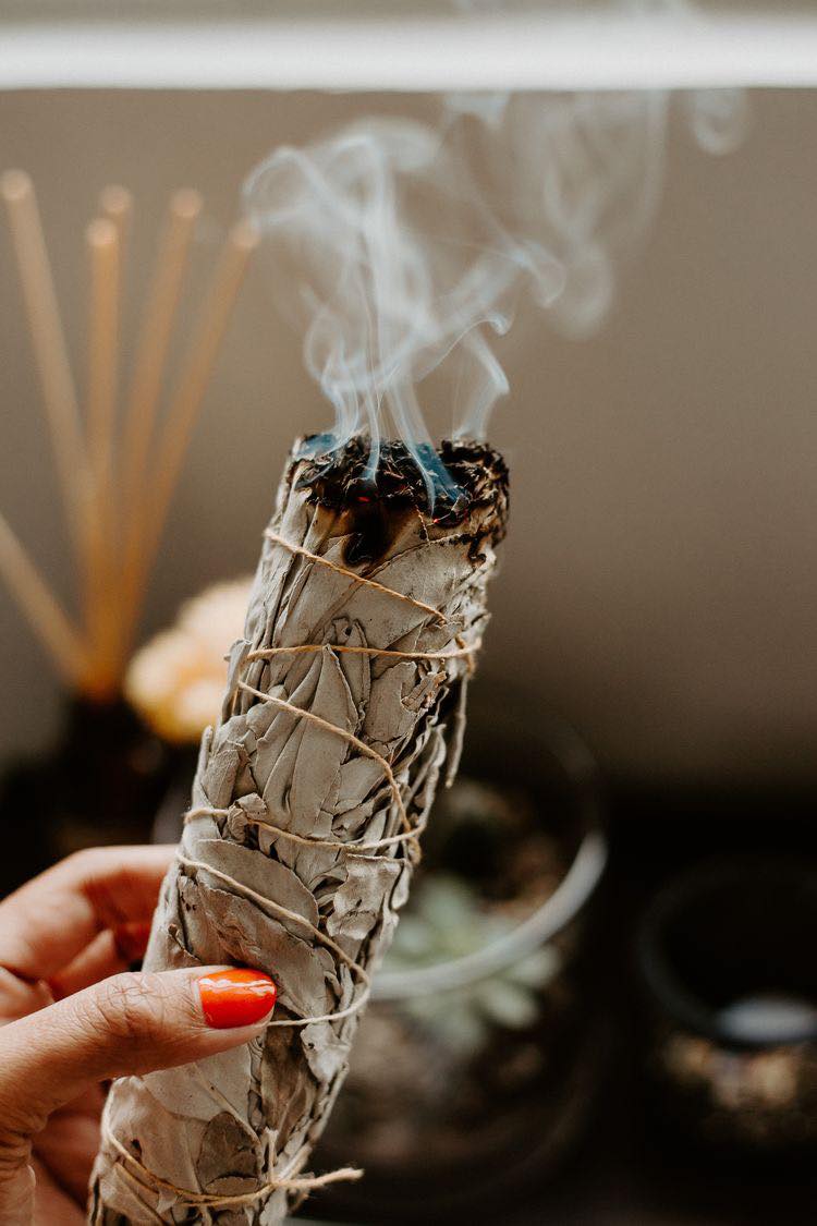 Lá xô thơm (white sage hay sage trắng)