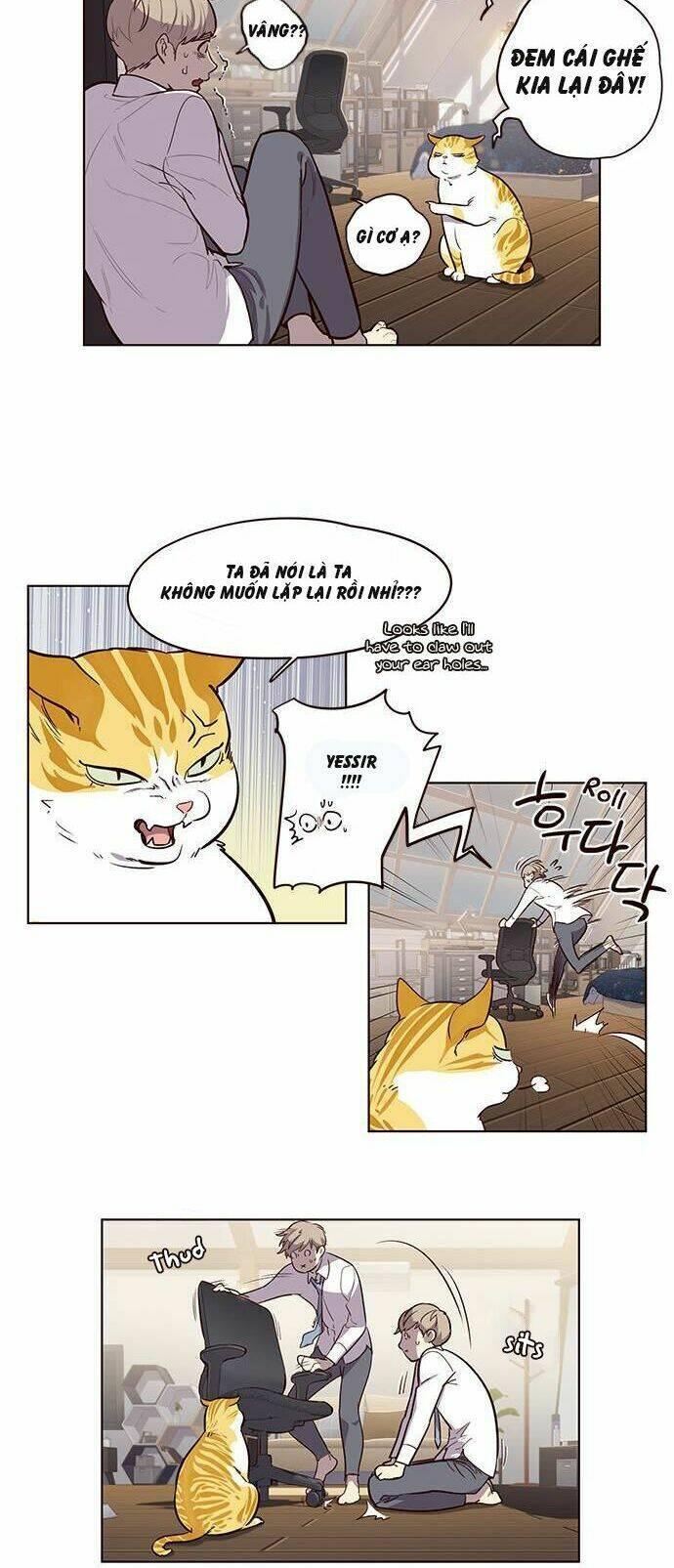 biến thân thành mèo chapter 1 42