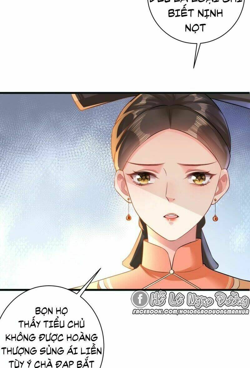 quận chúa vững vàng, thiết lập nhân vật không thể vỡ chapter 49 36