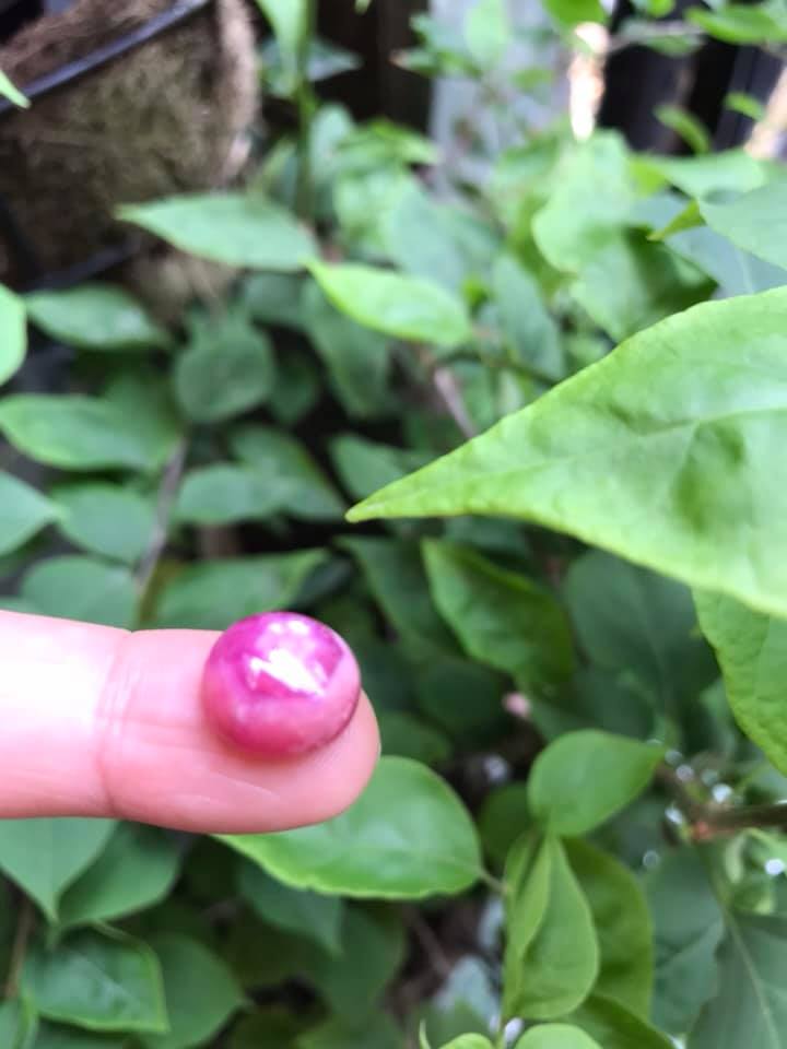 VIÊN ĐÁ RUBBY HỒNG TRÒN ĐẸP NHƯ BÔNG HOA PHÍA TRÊN VIÊN ĐÁ TRÒN DẦY ĐẸP LẮM LUÔN LÀM MẶT NHẪN DÂY CHUYỀN Size DÀI 12mm X NGANG 11mm x DẦY 7mm