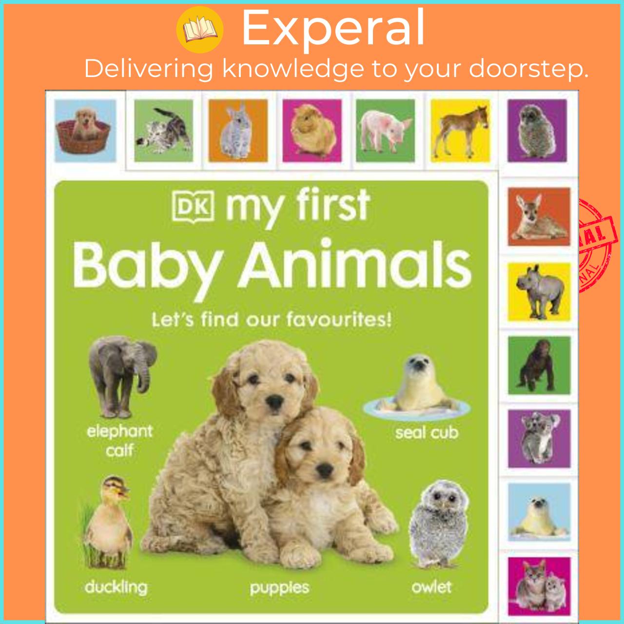 Sách - My First Baby Animals Let's Find Our Favourites! - My First by Dawn Sirett (UK edition, Board Book)