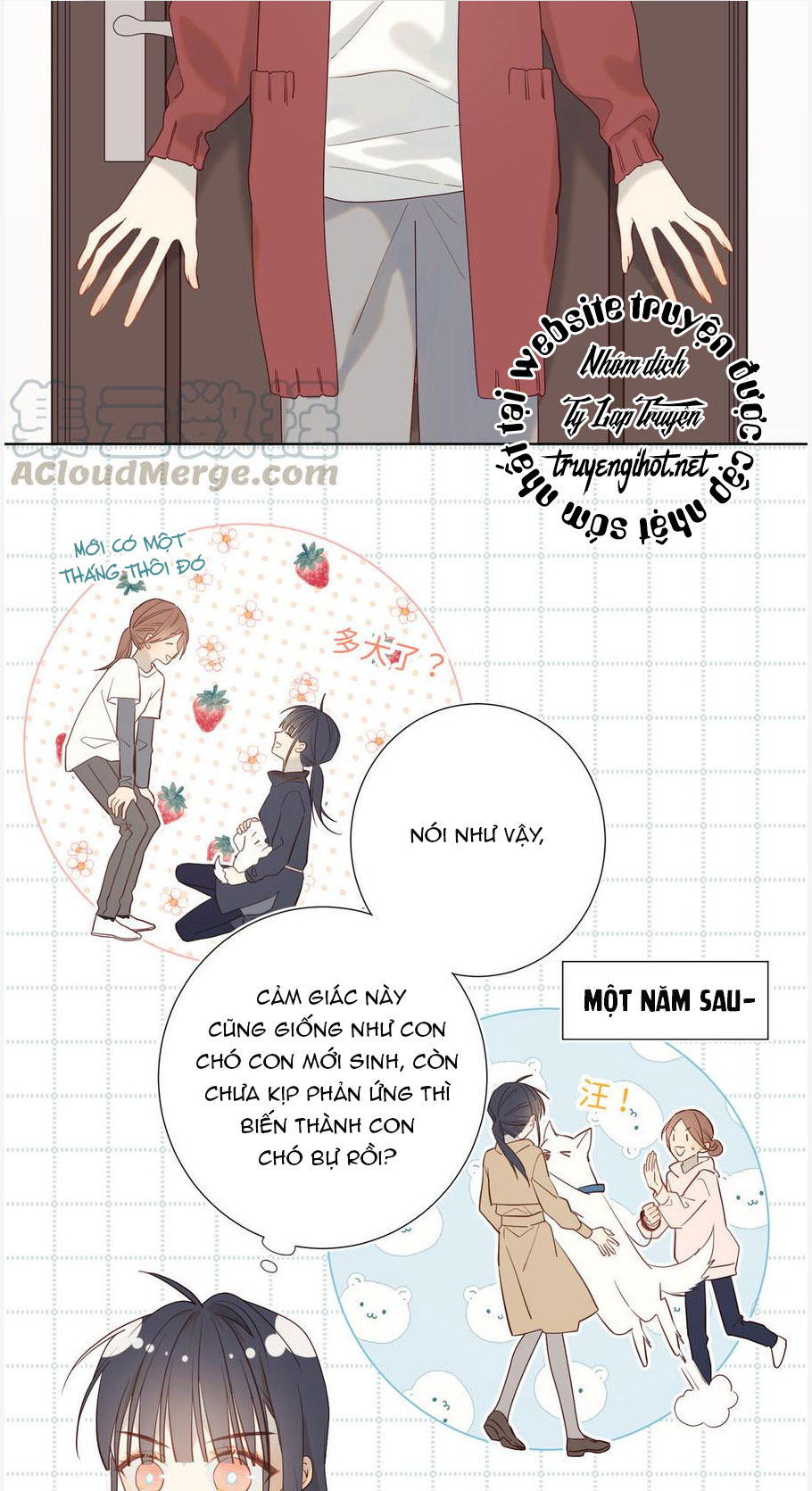 lời thề tựa sương sớm chapter 47 8