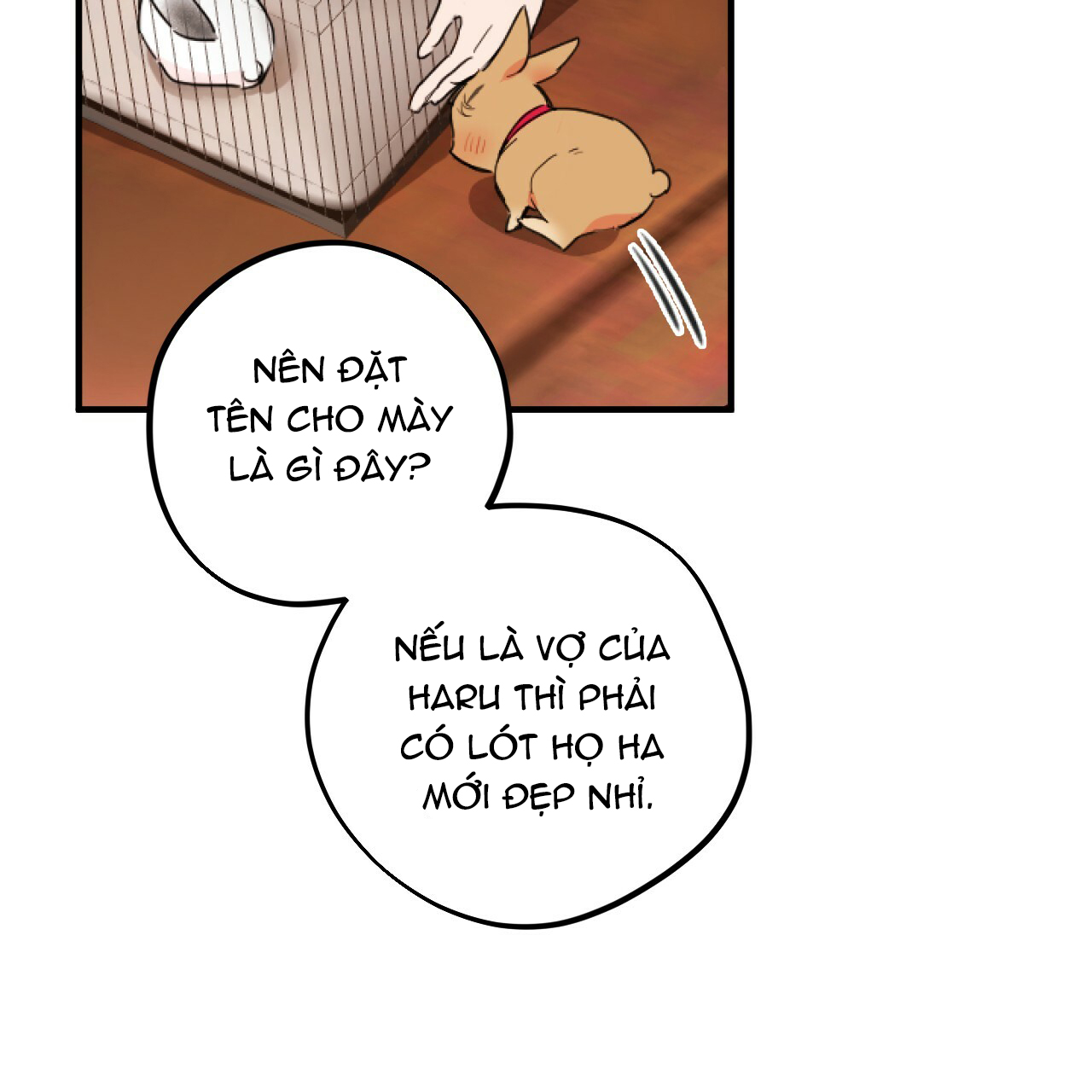 những chú thỏ của hapypy chapter 2 39