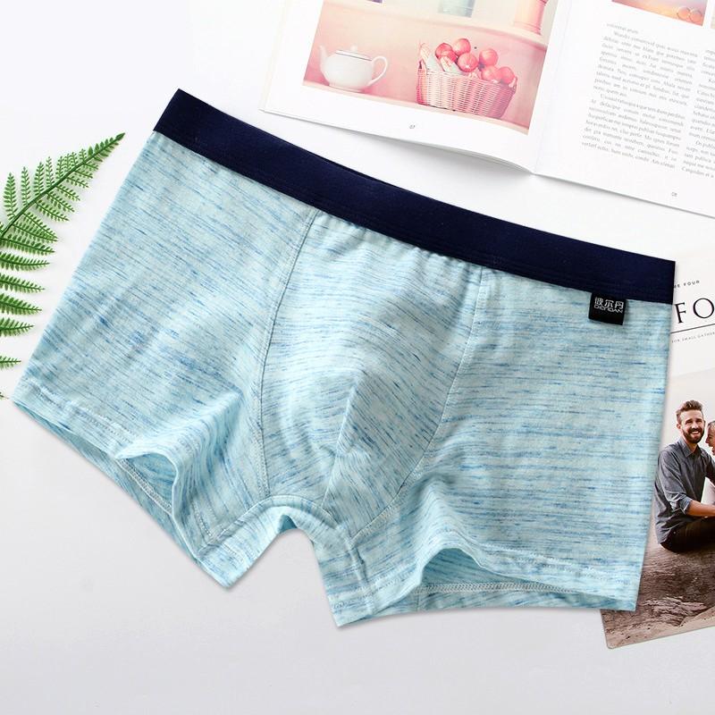 Hộp 4 quần lót nam boxer cotton