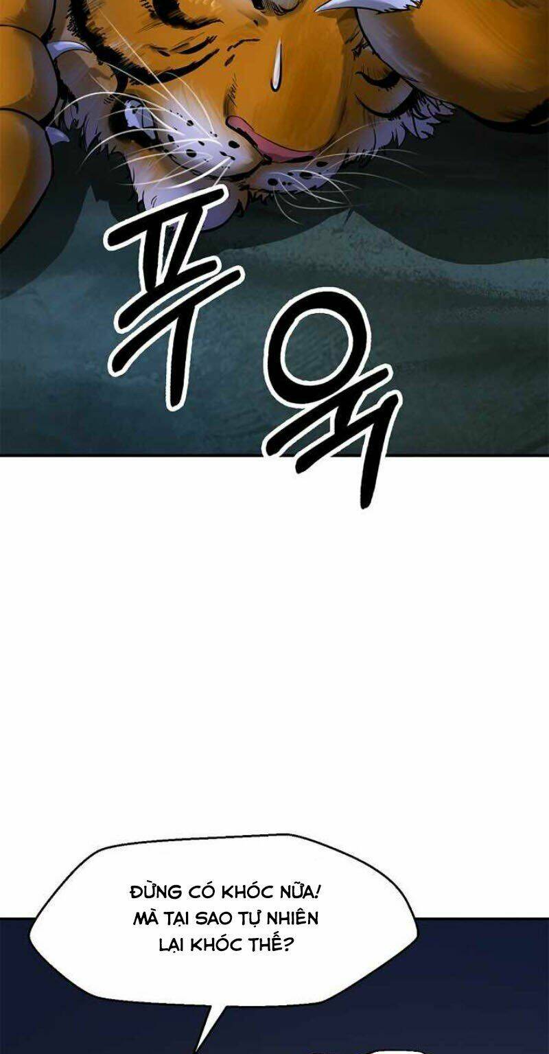 xuyên không thành hổ chapter 2 13