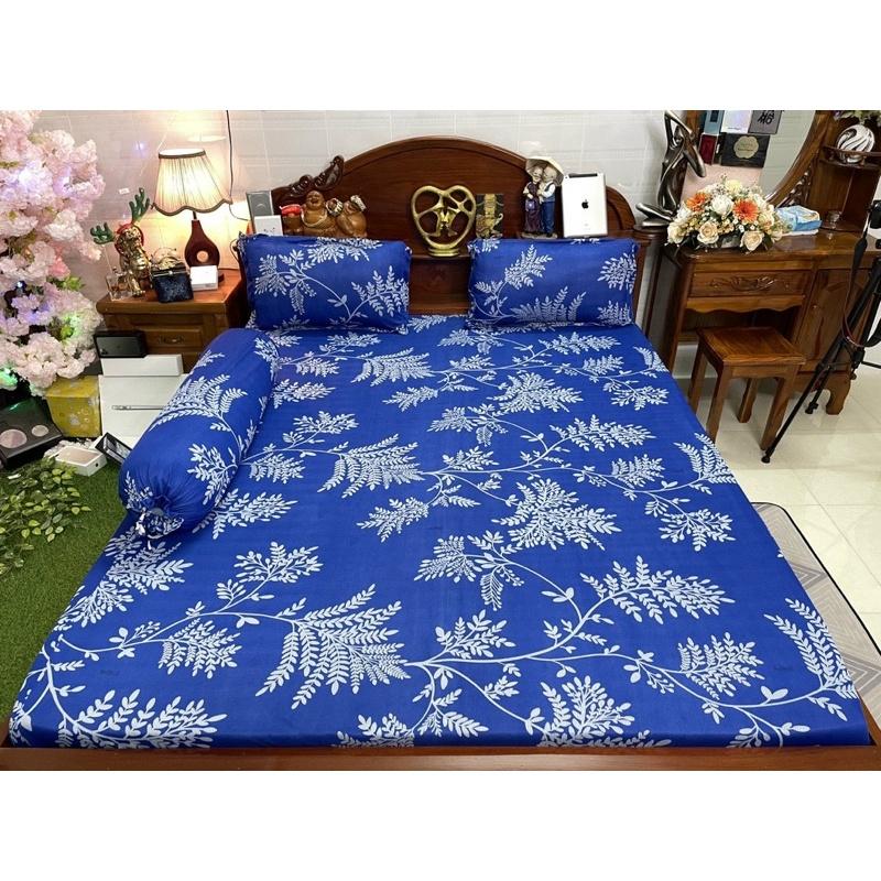 Drap thun hàn quốc