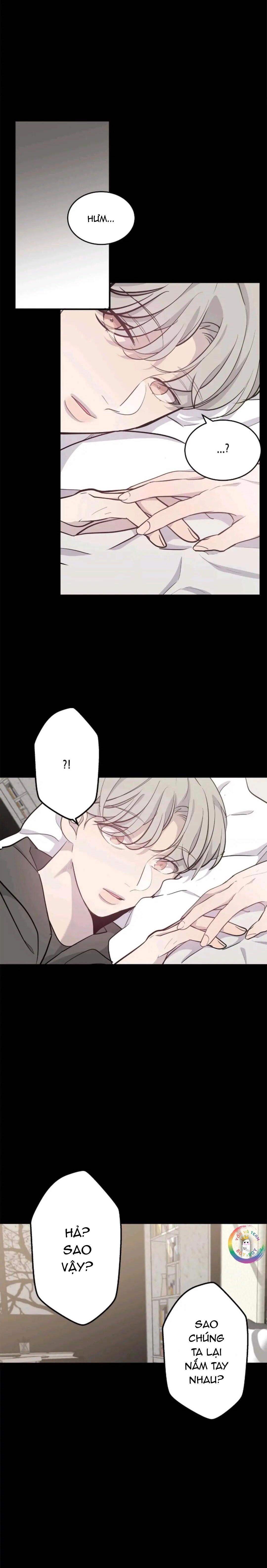 sao notp lại thành thật rồi? chapter 28 16