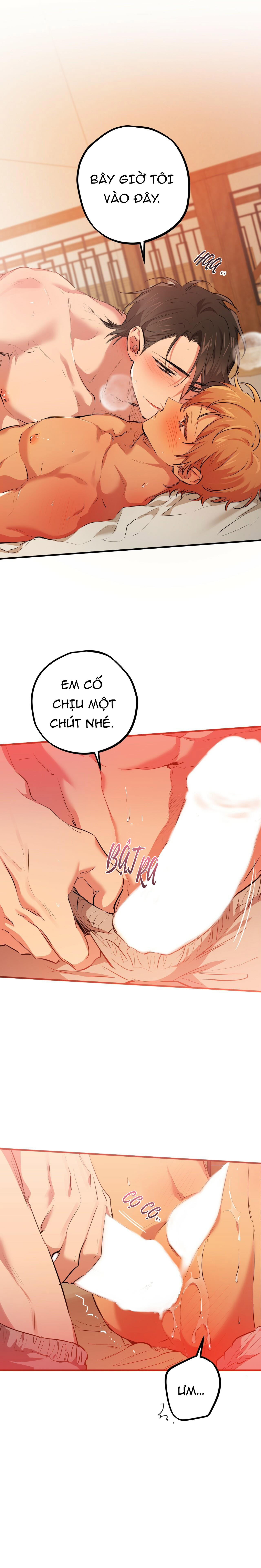 những chú thỏ của hapypy chapter 25 14