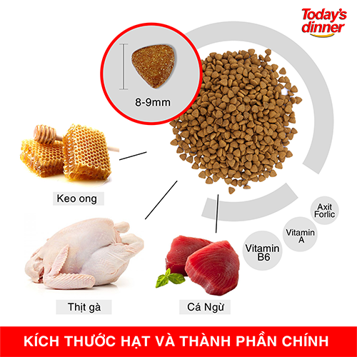 Today's Dinner -Thức ăn hạt CHO MÈO MỌI LỨA TUỔI túi 1kg