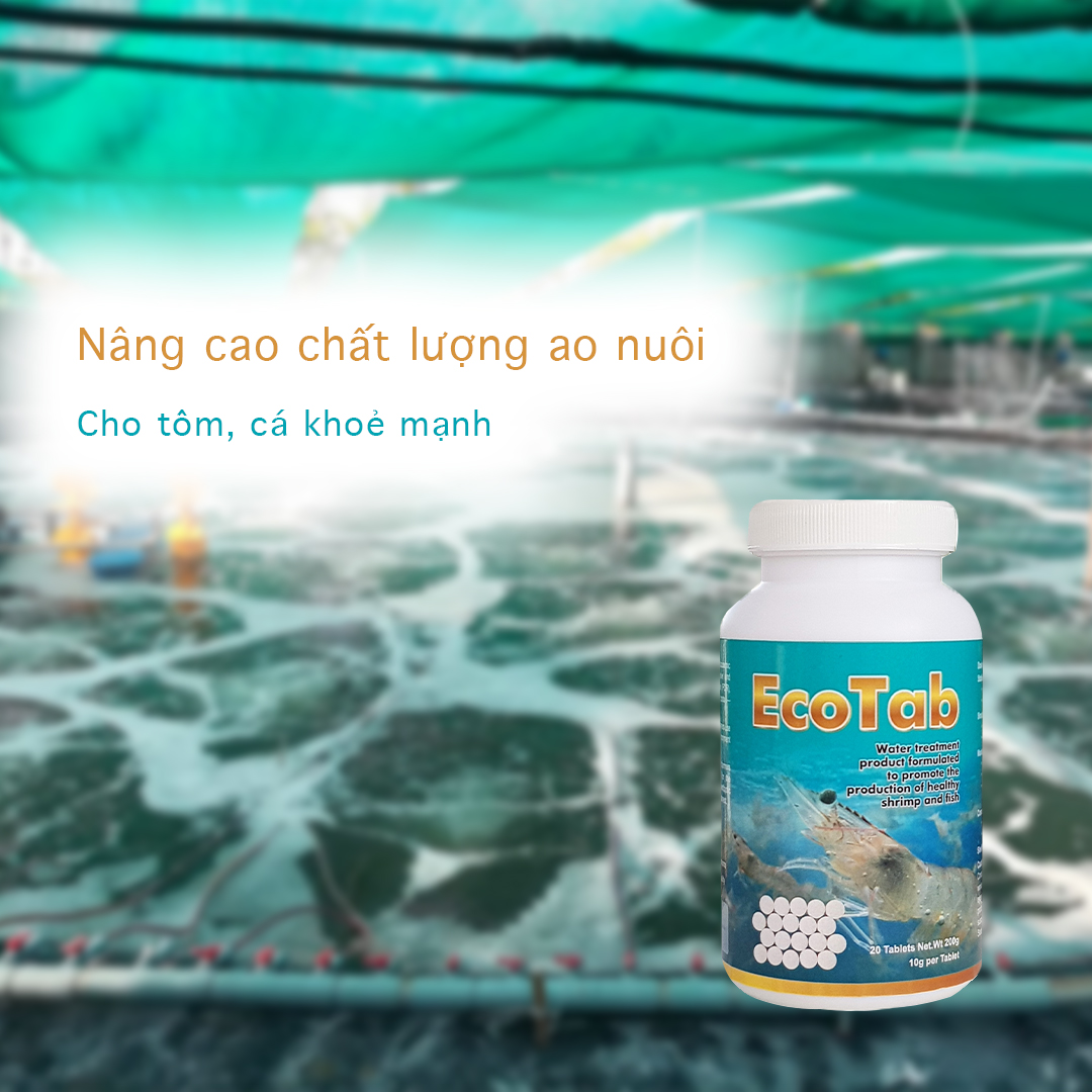 Viên Nén Vi Sinh Xử Lý Bùn Đáy Ao - EcoTab Hộp 20 Viên