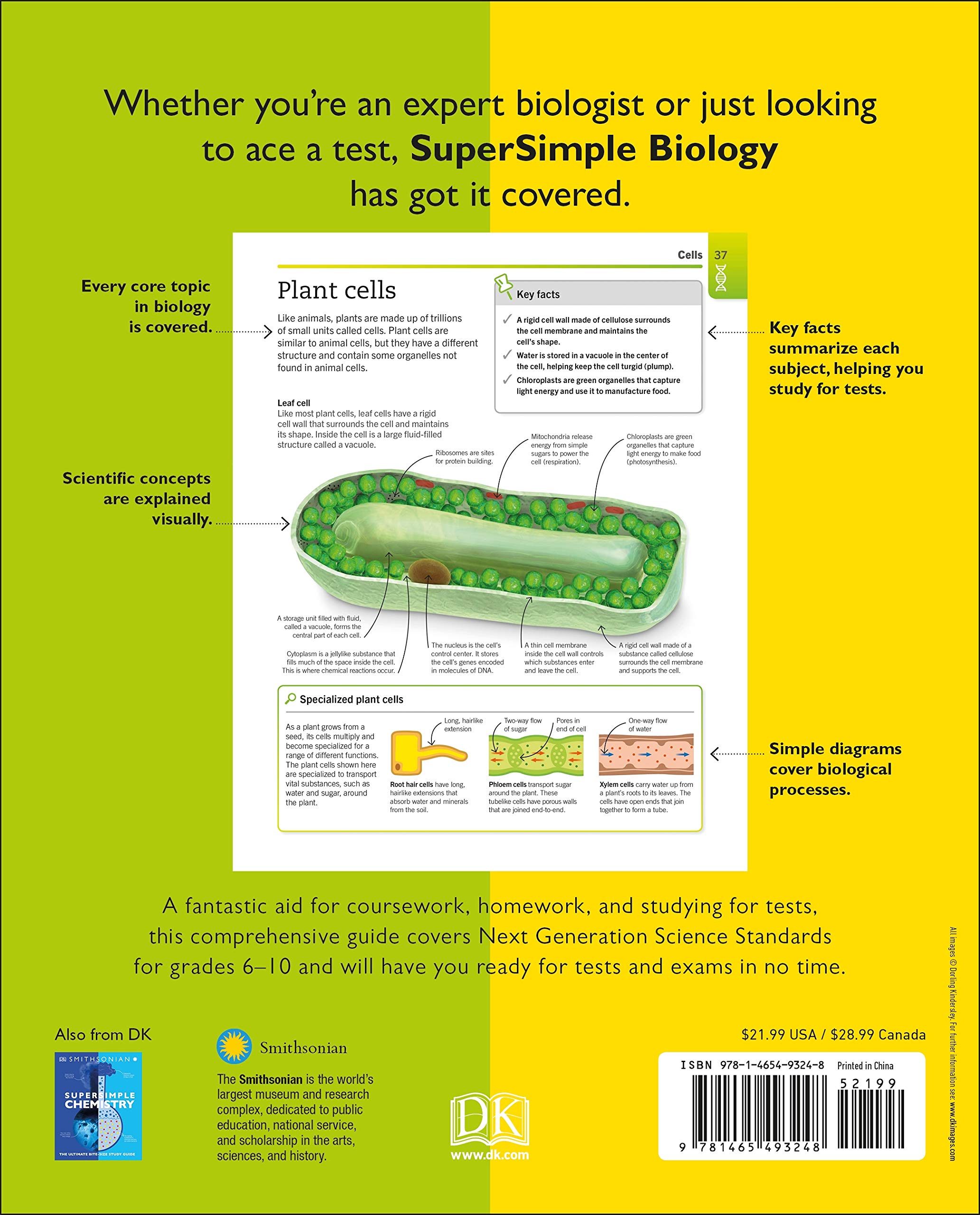 Biology: The Ultimate Bitesize Study Guide (Supersimple)